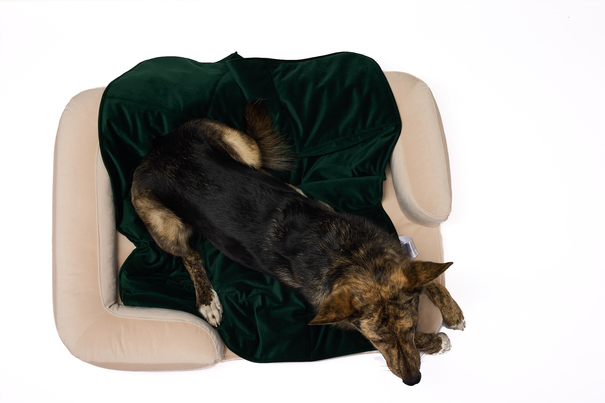 orthopedic_dog_bed_cream_sustainable_lebeddie__0731-min