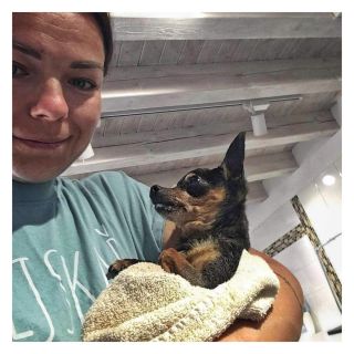 Naši | Our work 🚿🛁✂️🪄👌😍 #royalpets #psi #dog #pes #dogs #dogsofinstagram #love #instadog #doglovers #dogstagram #pejsek...